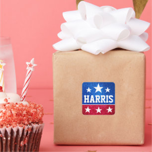 Kamala Harris 2024の進捗状況と統一をサポート スクエアシール