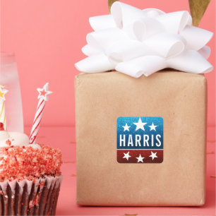 Kamala Harris 2024の進捗状況と統一をサポート スクエアシール
