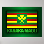 Kanaka Maoli Flag ポスター (正面)