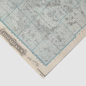 Kandiyohi郡、ミネソタの地図 薄葉紙 (詳細)