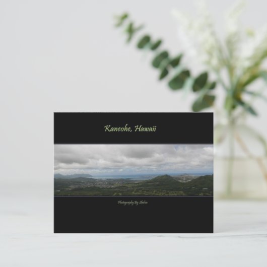Kaneohe、ハワイ ポストカード (スタンド正面)