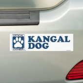 Kangal犬の青 バンパーステッカー (車上)