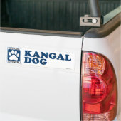Kangal犬の青 バンパーステッカー (トラック上)