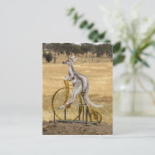 Kangaro On Wheels ポストカード (スタンド正面)