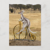 Kangaro On Wheels ポストカード (正面)