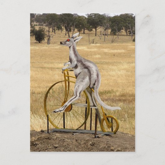 Kangaro On Wheels ポストカード (正面)