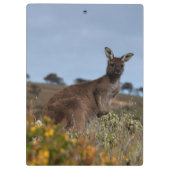 Kangaroo Australia写真 クリップボード (裏面)