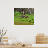 Kangaroo Siesta, Poster ポスター (キッチン)