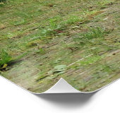 Kanon, ポスター (コーナー)