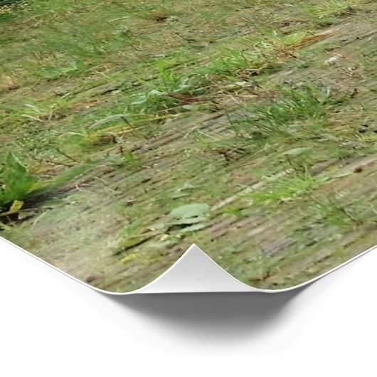 Kanon, ポスター (コーナー)