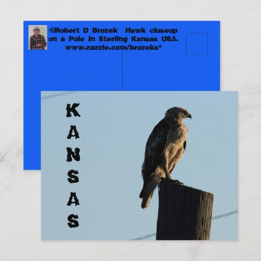 Kansas Hawk on a Pole close up Post Card. ポストカード (正面/裏面)