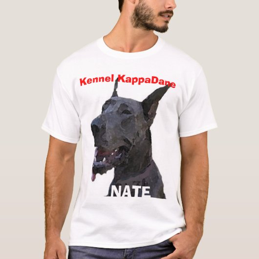 KappaDaneの青 Tシャツ (正面)