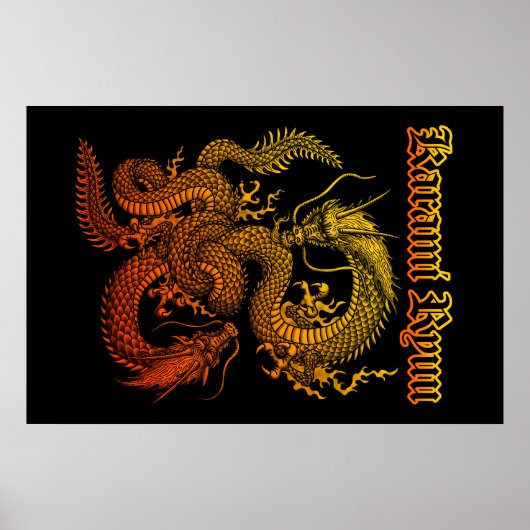 Karami Ryuu 1a ポスター (正面)