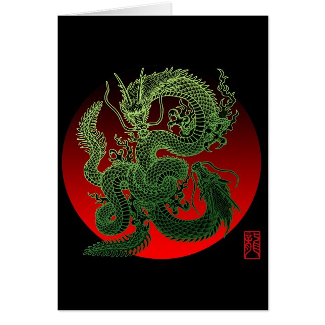 Karami Ryuu 3 (正面)