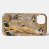 Karas、Meerkat (Suricata Suricatta)の歩哨 Case-Mate iPhoneケース (裏面 (横))