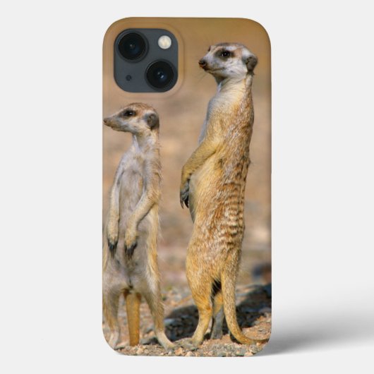 Karas、Meerkat (Suricata Suricatta)の歩哨 Case-Mate iPhoneケース (裏面)