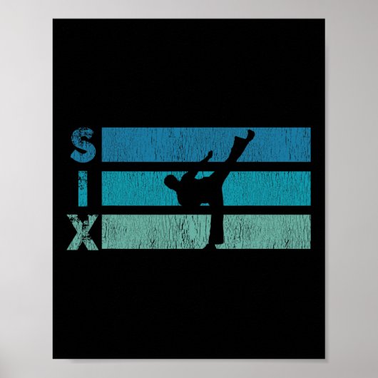 Karate Birthday 6 Year Year Taekwondo Boy 6th Birt ポスター (正面)