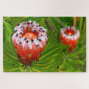 KARIKARI開花20x30インチ ジグソーパズル