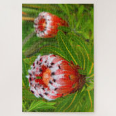 KARIKARI開花20x30インチ ジグソーパズル (縦)