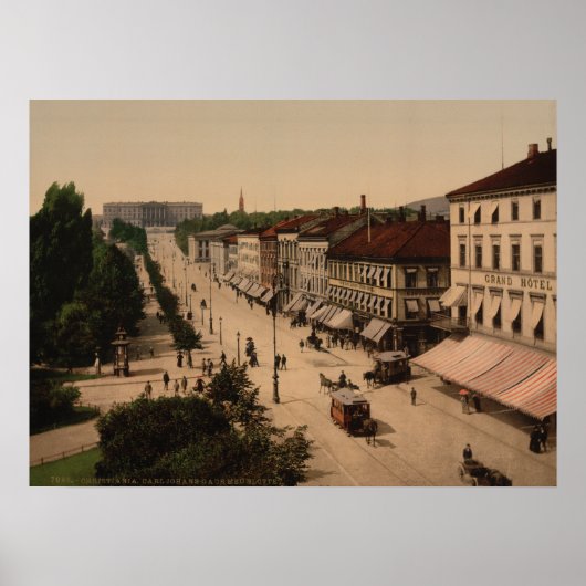 Karl Johans Gade and Slotttet,オスロ,ノルウェー ポスター (正面)