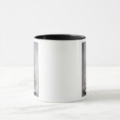 KarnakからのAmenophis IVのOsiridの柱 マグカップ (中央)