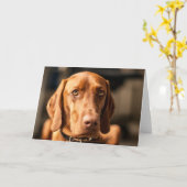 Karte mit Motiv "Magyar Vizsla" カード (黄色い花)