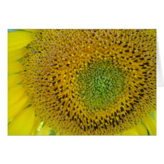 Karte Sonenblume, blanko, gastaltbar