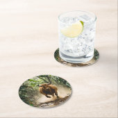 Kartonnen Onderzetter ラウンドペーパーコースター (インサイチュ)