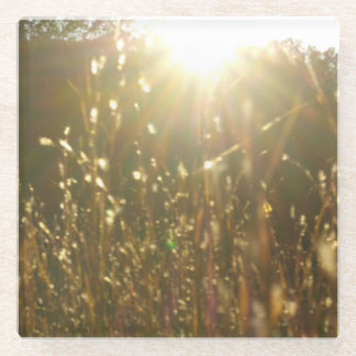 "KASによる日光の金刃"の元の芸術 ガラスコースター