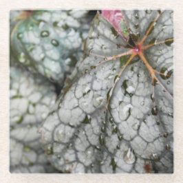 KASによる"しぶき"の元の芸術 ガラスコースター