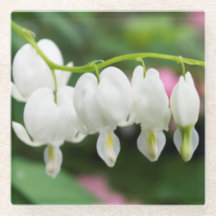 KASによる"白いハート"の元の芸術