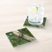 KASによる"野生のブドウ"の元の芸術 ガラスコースター (アングル)