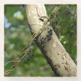 KASによる"野生のブドウ"の元の芸術 ガラスコースター