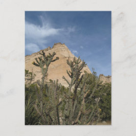 Kasha-Katuweテント岩国記念碑 ポストカード