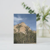 Kasha-Katuweテント岩国記念碑 ポストカード (スタンド正面)