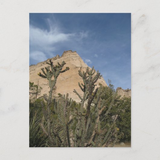 Kasha-Katuweテント岩国記念碑 ポストカード (正面)