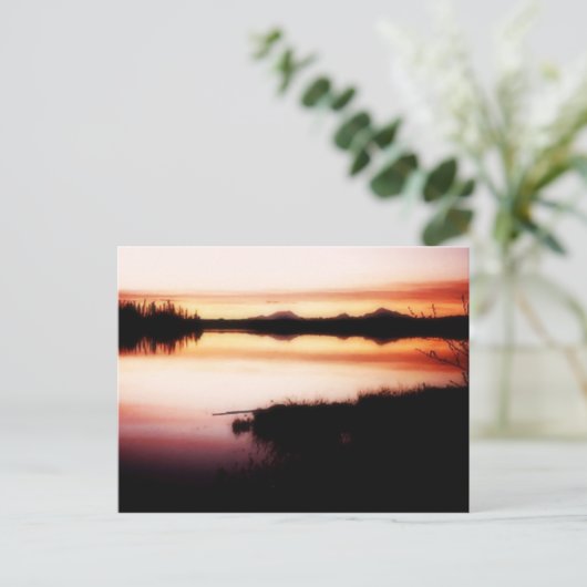 Kashwitna反射はがき ポストカード (スタンド正面)