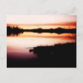 Kashwitna反射はがき ポストカード (正面)