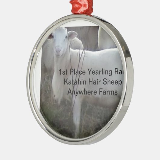 Katahinの毛のヒツジ メタルオーナメント (左)