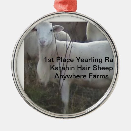 Katahinの毛のヒツジ メタルオーナメント (正面)