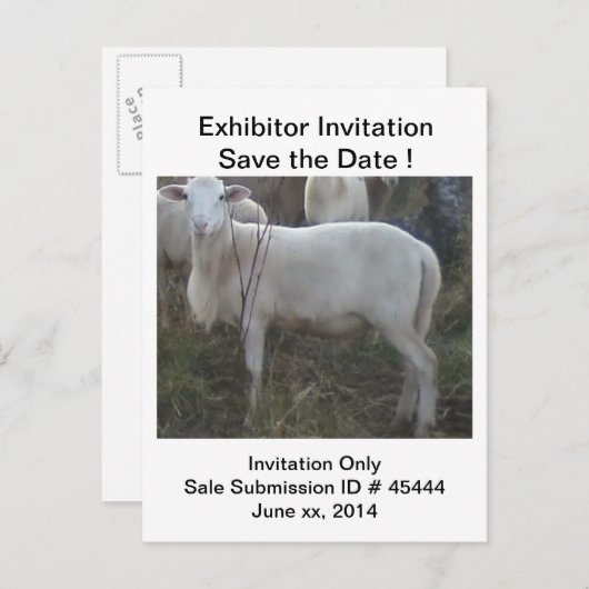 Katahinの毛のヒツジ 案内ポストカード (正面/裏面)