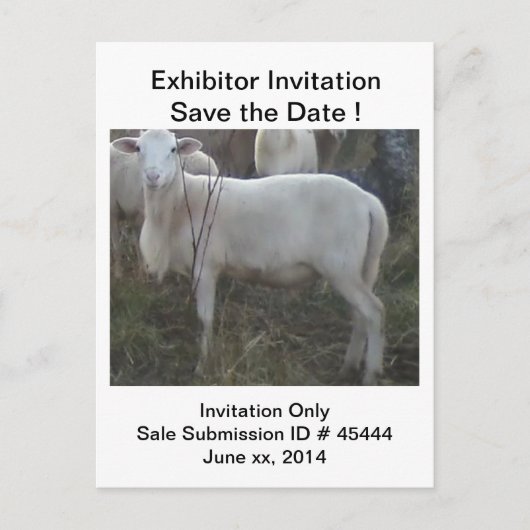 Katahinの毛のヒツジ 案内ポストカード (正面)