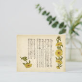 Kate greenaway Music ポストカード (スタンド正面)