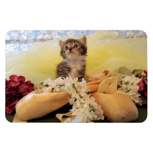 Kate the Ballerina Kitten - Cat Magnet マグネット (横)