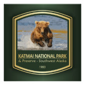 Katmai NP (PF1) ポスター (正面)