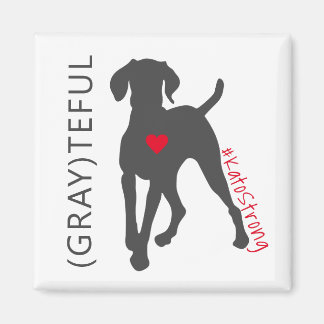 #KatoStrong磁石 マグネット