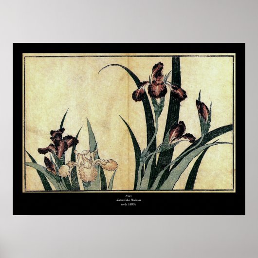 Katsushika Hokusai's Ukiyo-e Woodcut Print: Irises ポスター (正面)