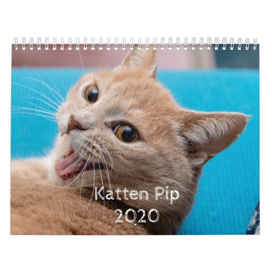 Katten Pip - 2020カレンダー カレンダー (カバー)