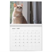 Katten Pip - 2020カレンダー カレンダー (3月 2027)