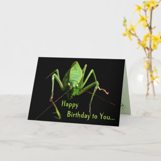Katydidの誕生日 カード (黄色い花)